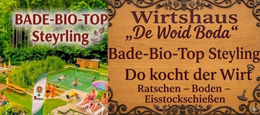 Badebiotop Steyrling